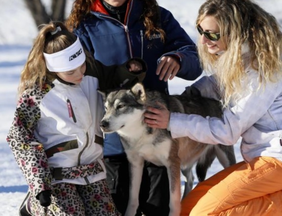 Comment s’habiller pour une balade en chien de traîneau ?