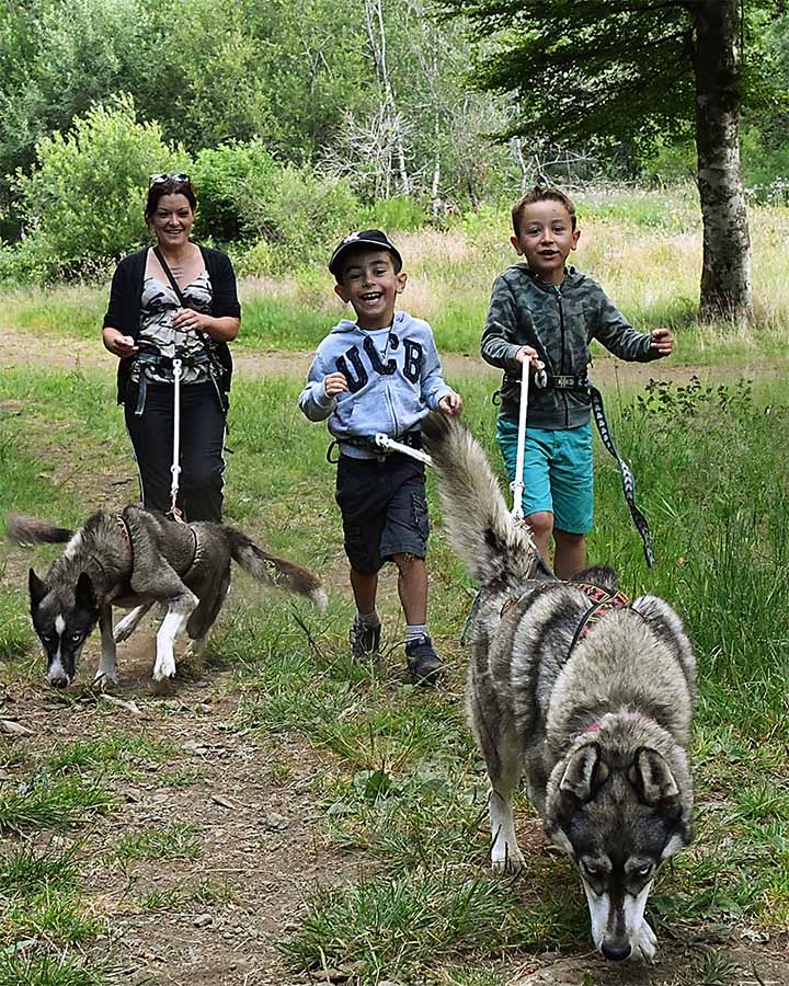 Cani Marche en Famille