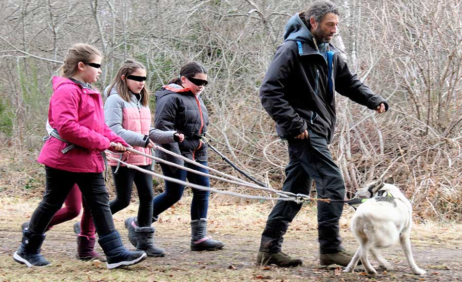 Julien BOIVIN - Musher Auvergne Traineau