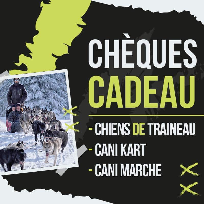 Cheques Cadeau Auvergne Traineau