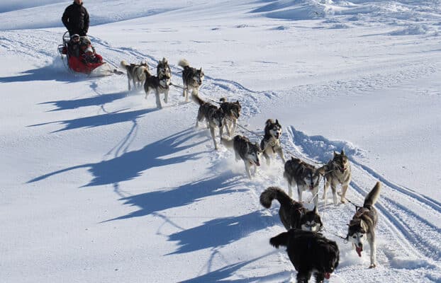 Les meilleurs endroits pour faire du chien de traîneau en Auvergne