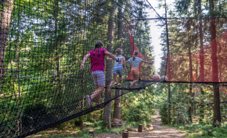 Activités de Groupe : Scolaires, Entreprises, Asso...