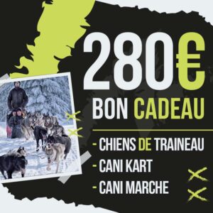 Chèque Cadeau 280€