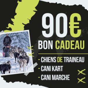 Chèque Cadeau 90€
